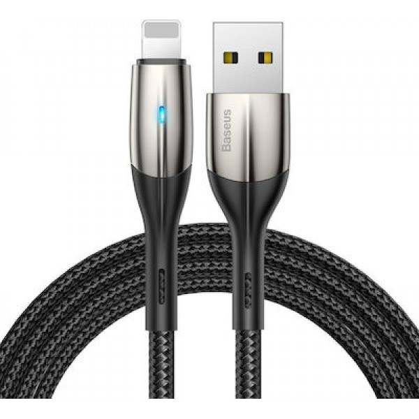 Baseus Braided USB to Lightning Cable Μαύρο 2m (CALSP-C01)